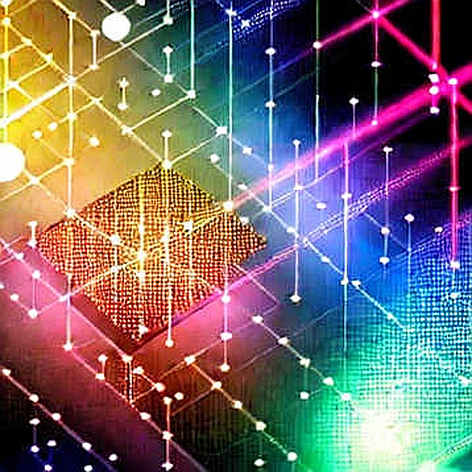 The Anatomy of a Crypto CEO Exit: Mallers, Twenty One, and the $2.2 Million Lesson The Anatomy of a Crypto CEO Exit: Mallers, Twenty One, and the $2.2 Million Lesson