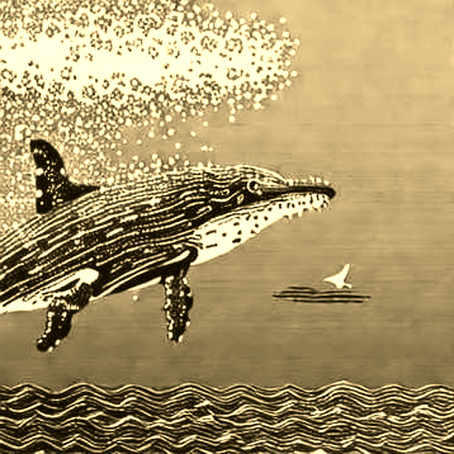 The Quiet Accumulation: Hyperscale Data's $72M Bitcoin Buy and the Predictive Fallacy The Quiet Accumulation: Hyperscale Data's $72M Bitcoin Buy and the Predictive Fallacy