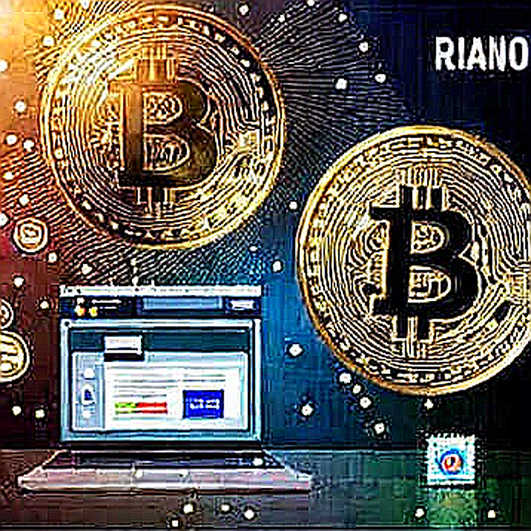 The Siren Call of Rebound: Why This Bitcoin Rally Smells Like a Trap The Siren Call of Rebound: Why This Bitcoin Rally Smells Like a Trap