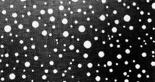 Capital Rotation or Noise? The On-Chain Evidence Behind the AI-to-Crypto Shift Capital Rotation or Noise? The On-Chain Evidence Behind the AI-to-Crypto Shift