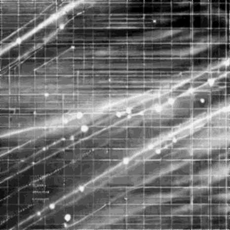 The Signal in the Silence: When On-Chain Analysis Returns Zero The Signal in the Silence: When On-Chain Analysis Returns Zero