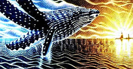 The $203M Illusion: Why One Day of ETF Inflows Tells You Nothing About Bitcoin’s Direction The $203M Illusion: Why One Day of ETF Inflows Tells You Nothing About Bitcoin’s Direction